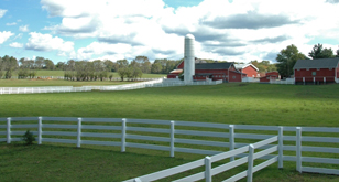 Piancone Farm